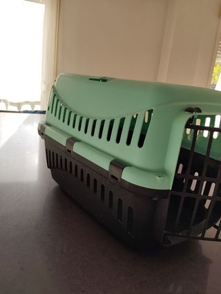 Transportín mascotas pequeño - verde