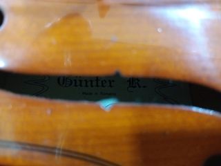 VIOLIN GUNTER