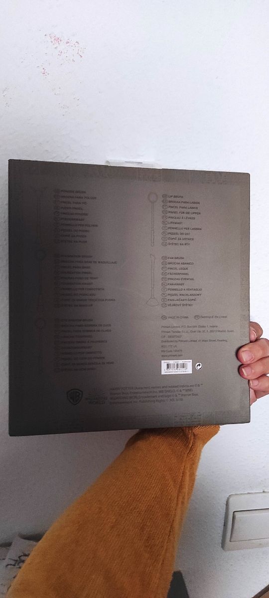 Juego brochas Harry Potter Quidditch