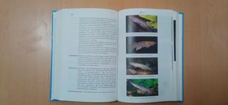 Review of Rivulus Ecobiogeography - Relationships