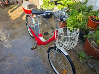 Bici eléctrica Monty