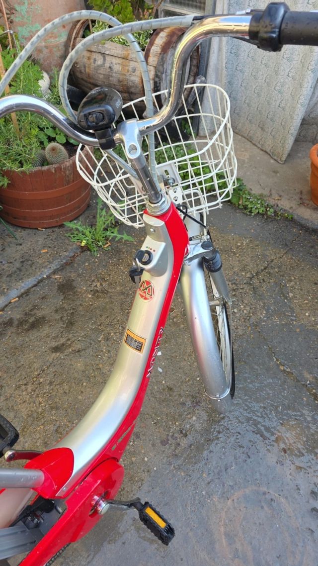 Bicicletta elettrica Monty