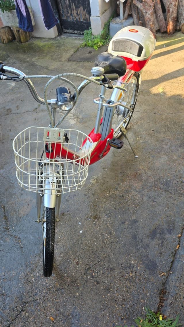 Bicicletta elettrica Monty