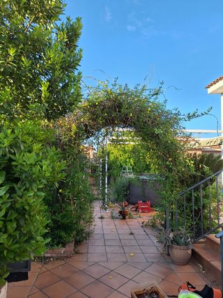 Jardineria,desbroces y podas.