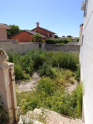 Jardineria,desbroces y podas.