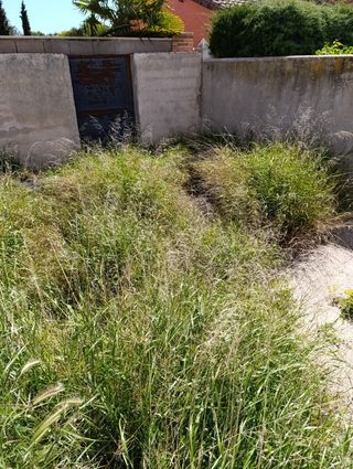 Jardineria,desbroces y podas.