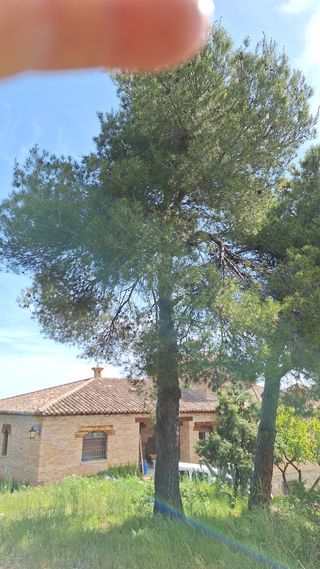 Jardineria,desbroces y podas.