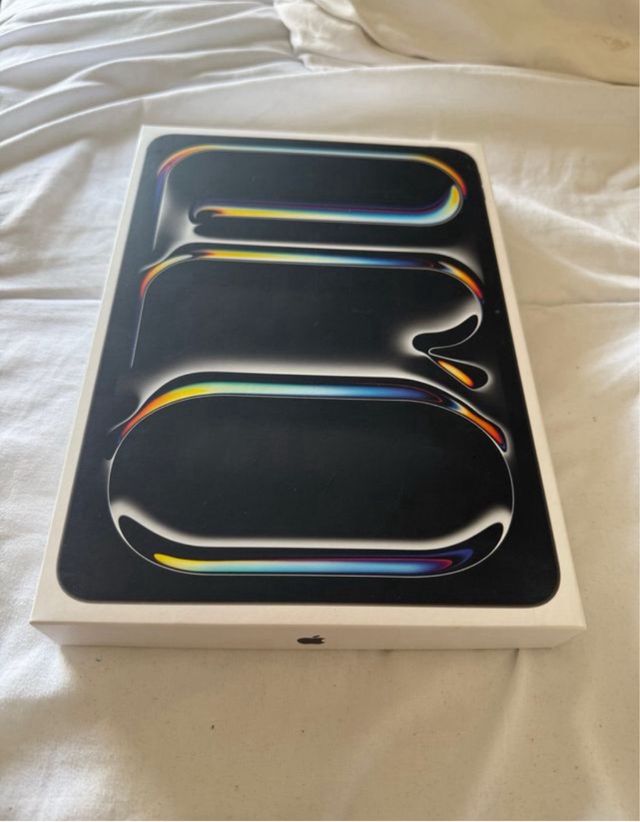 Ipad pro M4  11” 256gb