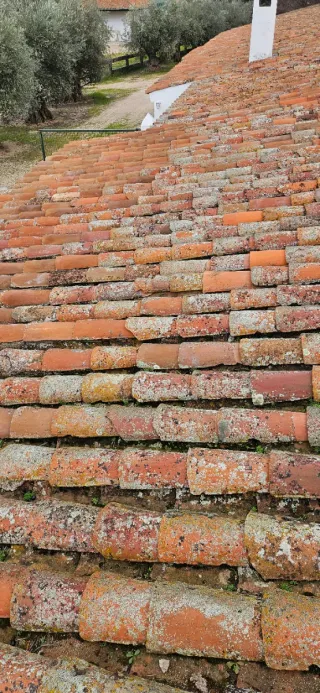 Reformas en general.