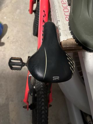 Bicicleta niño