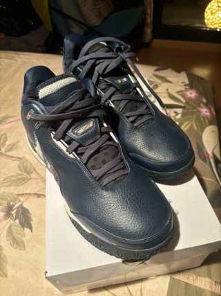 Zapatillas Nike ZM LEBRON NXXT. REBAJADAS