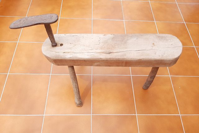 Antiguo Burro Trabajo Zapatero