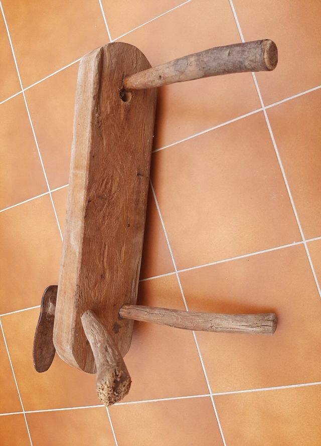 Antiguo Burro Trabajo Zapatero