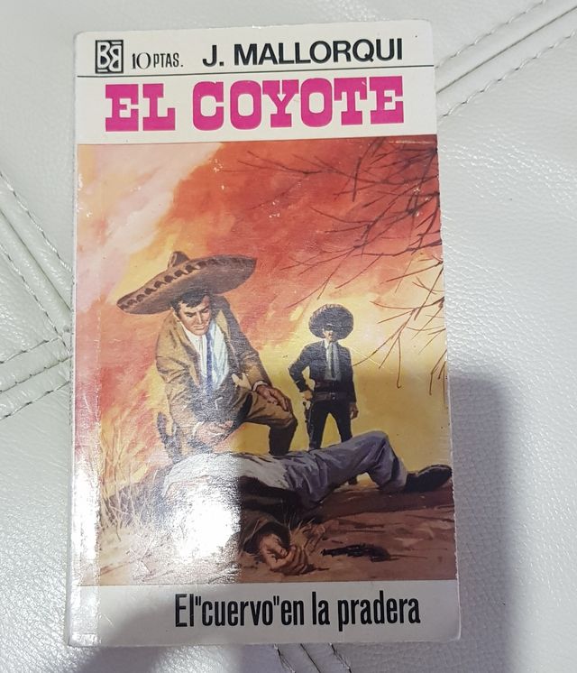 El Coyote, el cuervo en la pradera