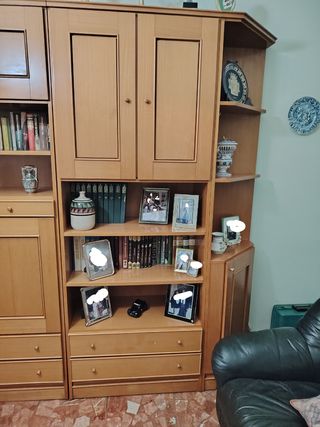 Muebles salón comedor