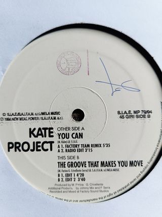 Vinilo Kate Project - you can