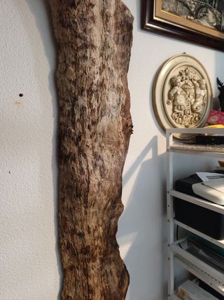 Escultura madera pared - Decoración rústica