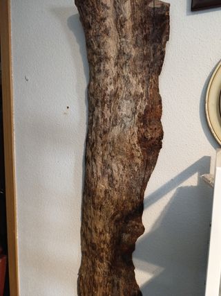 Escultura madera pared - Decoración rústica