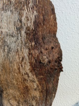 Escultura madera pared - Decoración rústica