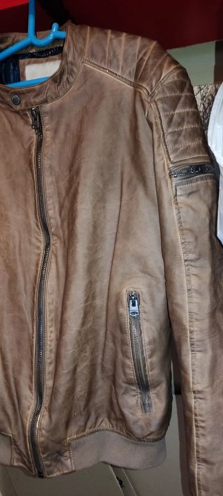 Chaqueta L Springfield marrón