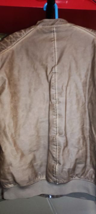 Chaqueta L Springfield marrón