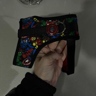 Arnes de pecho para perro