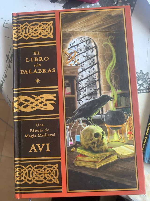 EL LIBRO SIN PALABRAS (Spanish Edition)