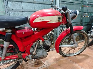 Derbi antorcha 49