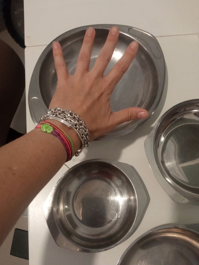 Platos acero inoxidable para camping