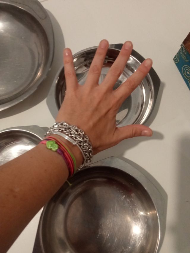 Platos acero inoxidable para camping