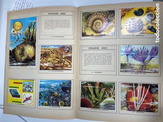 Mundo Submarino 1973. Album cromos