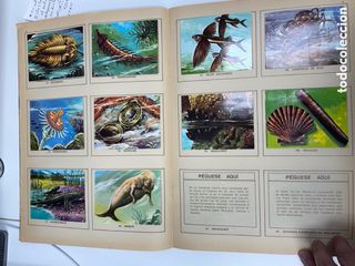 Mundo Submarino 1973. Album cromos