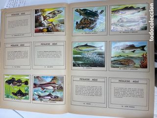 Mundo Submarino 1973. Album cromos