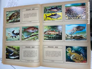 Mundo Submarino 1973. Album cromos