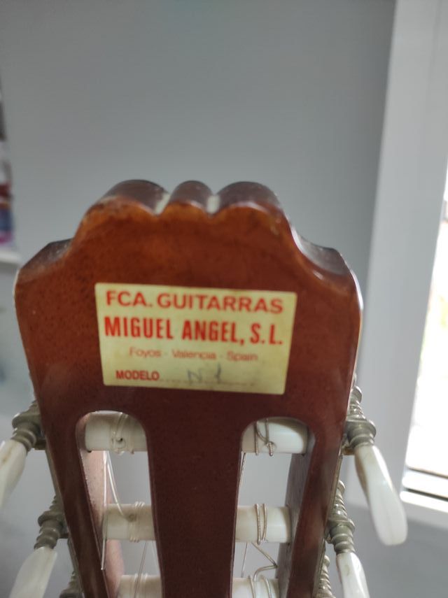 guitarra española con su funda