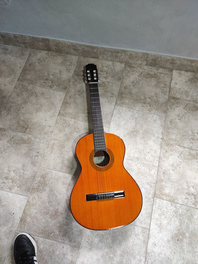guitarra española con su funda
