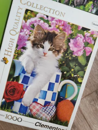 Puzzles de 1000 piezas