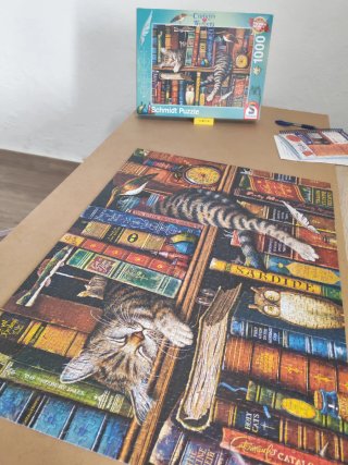 Puzzles de 1000 piezas