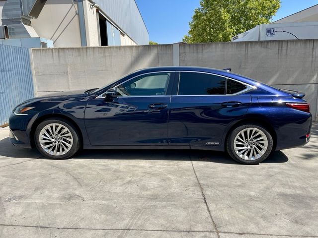 Lexus ES 2020