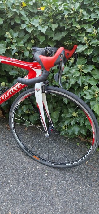 Bicicleta carbono Willier Triestina Carretera