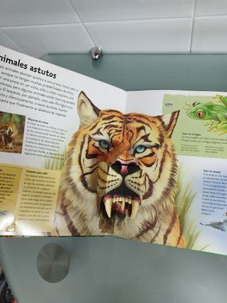 POP UP ANIMALES SALVAJES (Spanish Edition)