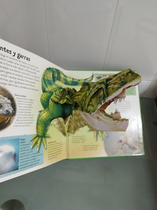 POP UP ANIMALES SALVAJES (Spanish Edition)