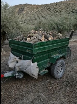 leña de olivo