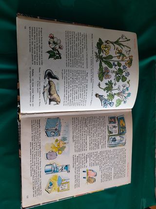 Mundo Infantil,1000 palabras a través de la imagen