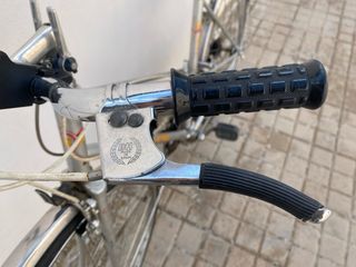 Bicicleta BH gacela 