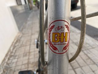 Bicicleta BH gacela 
