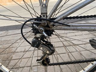 Bicicleta BH gacela 
