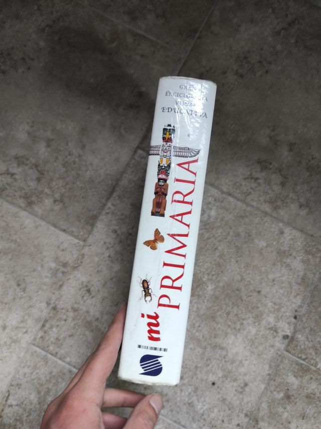 quijote y mi primaria tapa dura