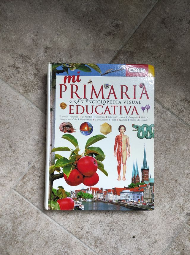 quijote y mi primaria tapa dura