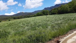 8 Hec. / 6 Hec. per ensilar a St Esteve de Llémena